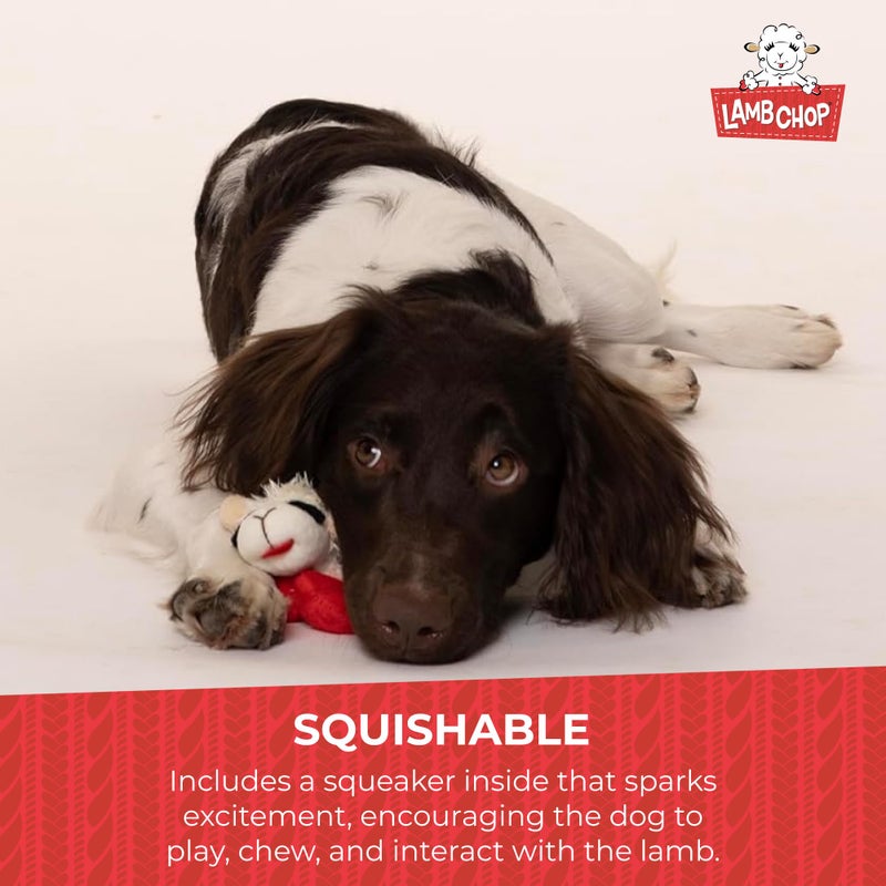 Multipet Lamb Chop Dog Plush Toy - Squeaky Toy for All Dogs - Extra Soft Plush - Stuffed Animal Dog Toy for Cuddling & Playing - Cute Pet Toy (6", Cream) - Image 5